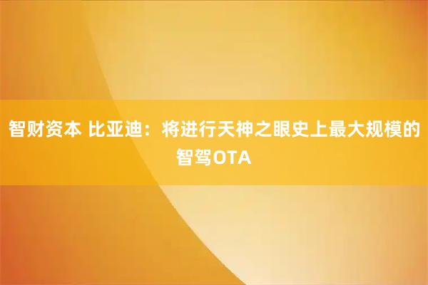 智财资本 比亚迪：将进行天神之眼史上最大规模的智驾OTA