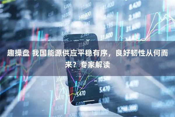 趣操盘 我国能源供应平稳有序，良好韧性从何而来？专家解读