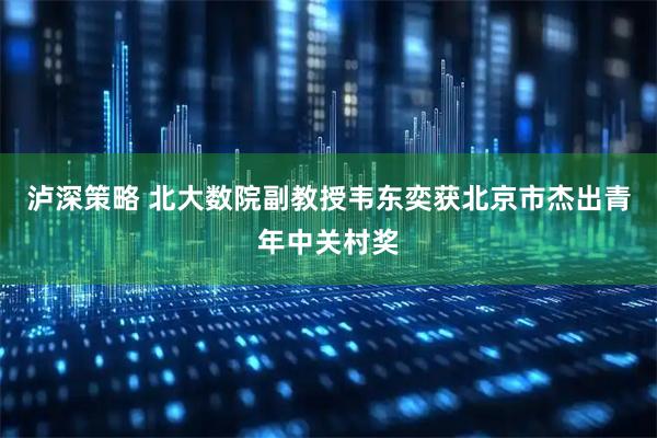 泸深策略 北大数院副教授韦东奕获北京市杰出青年中关村奖