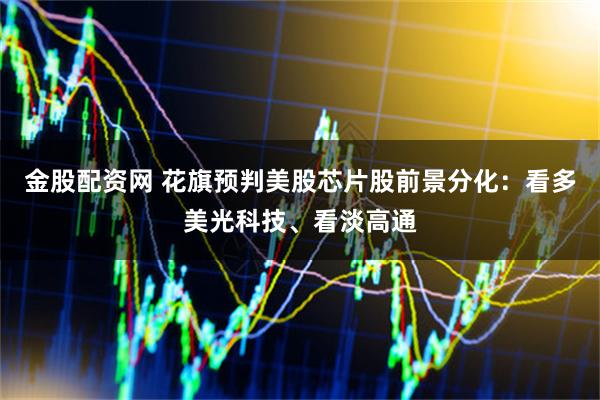 金股配资网 花旗预判美股芯片股前景分化：看多美光科技、看淡高通