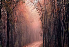 如何开通创业板的股票:开股票账户-IPO周报｜上周新股上市首日涨超205% 本周申购迎卫浴毛巾架龙头